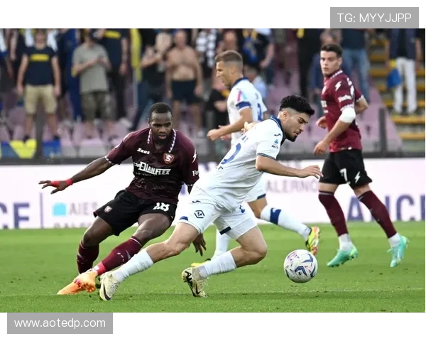 维罗纳足球俱乐部历史与成就回顾：意甲传奇的崛起与辉煌